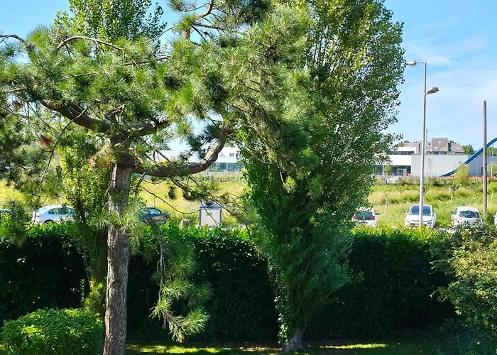 Calme Et Cosy, T2 Refait à Neuf En Juillet 2025 *